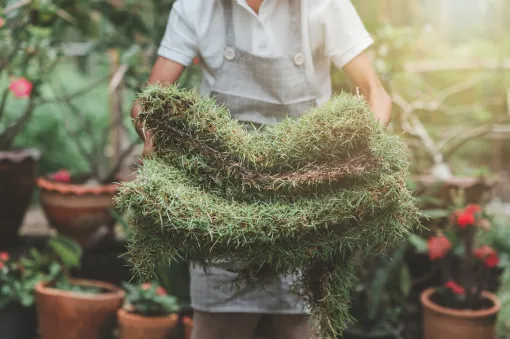 Grama para Jardim - Cláudio Minerais